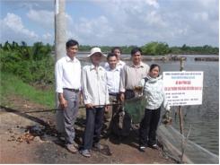 Mô Hình Nuôi Cua Thương Phẩm Từ Con Giống Sinh Sản Nhân Tạo