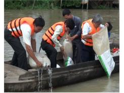 Long An Thả Gần 1000 Kg Cá Xuống Sông Vàm Cỏ Đông