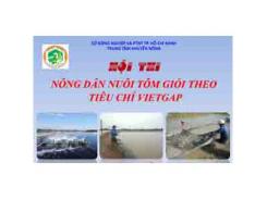Tổ Chức Hội Thi “Nông Dân Nuôi Tôm Giỏi Theo Tiêu Chí Vietgap” Năm 2014