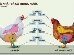Gà Việt phát hoảng với đùi gà Mỹ chưa tới 20.000 đồng/kg