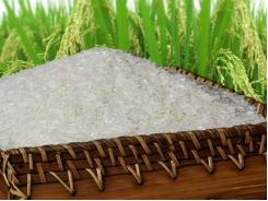 Philippines sẽ mua thêm 300.000 tấn gạo từ Việt Nam