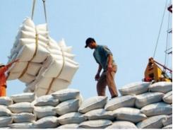 Lượng gạo xuất khẩu qua biên giới phía Bắc giảm mạnh