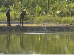 Hộ nuôi trồng thủy sản Tuần Giáo ứng phó mùa mưa lũ