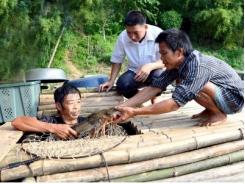 Chiêm Hóa (Tuyên Quang) phát triển chăn nuôi thủy sản