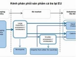 Vì sao xuất khẩu cá tra sang EU giảm?