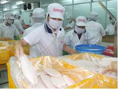 Dấu ấn chế biến xuất khẩu thủy sản
