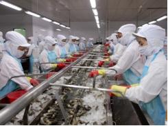 Việt Nam và Hoa Kỳ ký thỏa thuận về chống bán phá giá tôm nhập khẩu
