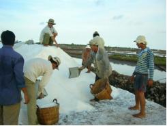 Muối ế trắng đồng, kho dự trữ hoang phế