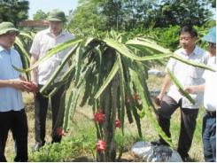 Tăng cung cấp thông tin và phản ánh trăn trở của nông dân