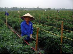 Dân ủng hộ, nhiều xã về đích sớm