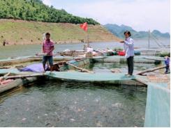 Hiệu quả từ mô hình HTX thủy sản Hồ Quỳnh