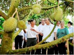 Trang trại tiền tỷ được Thủ tướng đến thăm quy mô thế nào?