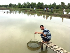 Doanh nghiệp trong và ngoài nước về tận ao tôm, hai bên đều có lợi