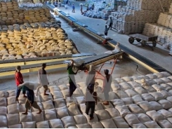 Vietnamese private rice exporters can bid for Philippines shipments
