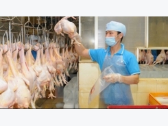 Koyu & Unitek to export 300 tons of chicken to Japan