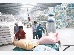 Vietnam exports 2.66 mln tonnes of rice in first half