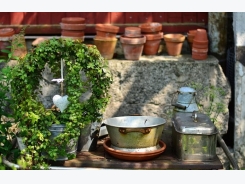 Secrets of Successful Container Gardening