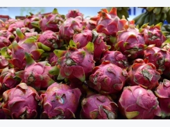 Vietnam to export fresh dragon fruit to Australia after years of talks
