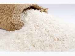 Vietnam-Australia rice cooperation in fine shape