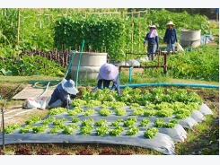Commerce Ministry promotes organic farming