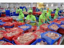 Vietnamese tra fish “stranded” in US