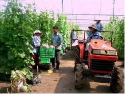 Funds needed for hi-tech agriculture