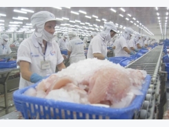 Strong EU demand for tra fish with low ice ratio