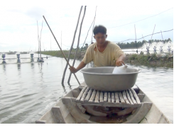 Vietnamese farmers mix salt with water to raise shrimp