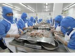 Australia tightens inspections on shrimp imports from Vietnam