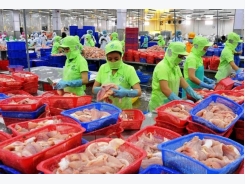 All catfish shipments to US subject to examination
