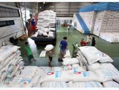 Rice export to Philippines seen harder