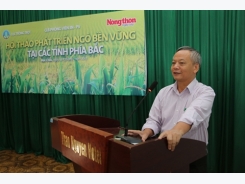 Northern Vietnamese corn farmers find way to sustainable development