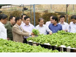 Deputy PM Hue commends agricultural cooperatives in Lam Dong