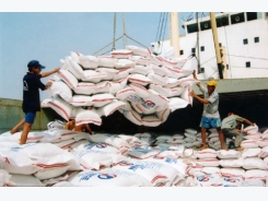 Xuất khẩu gạo bước sang 'tầng cao mới'