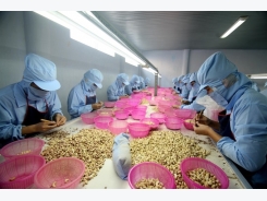 Customs hurdles for cashew
