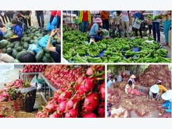 Fruit, vegetable prices in Vietnam pressured from strong supplies