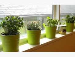 How To Make Indoor Herb Garden