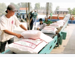 2030 rice exports targeted at 4 million tons