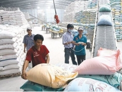 Vietnam’s rice exports surge 42% in first half of 2018