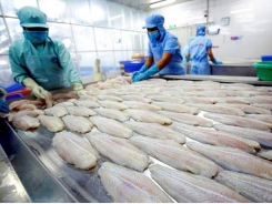 Vietnam H1 seafood exports up 12.3 pct