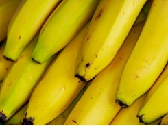 Hoang Anh Gia Lai bets on banana, Chinese market in agriculture switch
