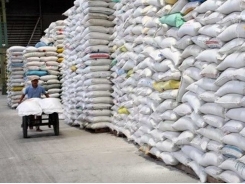 Vietnamese rice exports to Malaysia soar over last five months