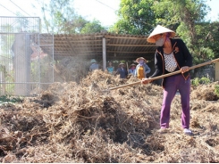 Biện pháp phòng chống thiếu nước cho đàn vật nuôi