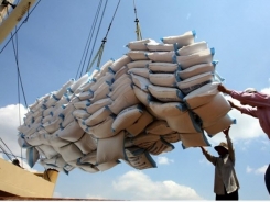 Rice export upbeat in first half
