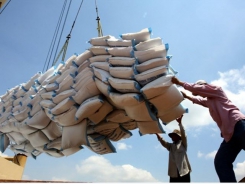 Rice export upbeat in first half