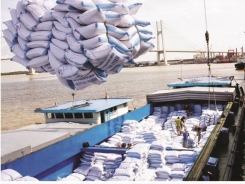 The agricultural and fishery export to be self-confident in reaching US$ 41 billion