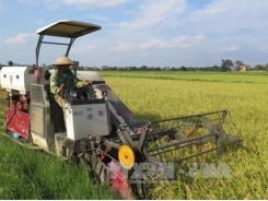 Thai Binh's agricultural economy boosted