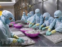 Vietnam’s export of aquatic products grows strongly in year’s first half