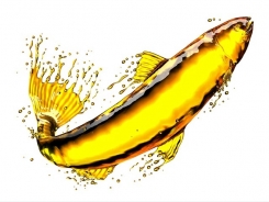 Fish oil alternatives are waiting in the wings