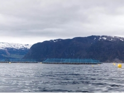 Land-use efficiency study puts aquaculture on a pedestal